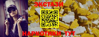 тгк Бийск