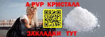 тгк Бийск
