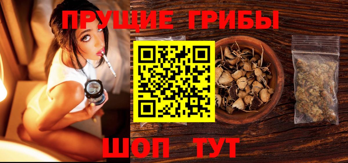 Кизляр  Галлюциногенные грибы мухоморы  Вход с VPN 